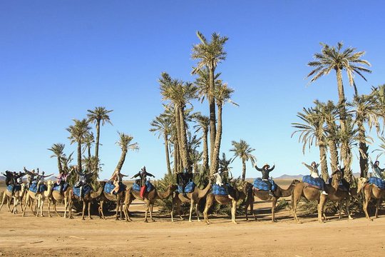 Tour image 5